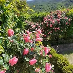 Podere I Casaloni - La Casa Nel Bosco Apartamento