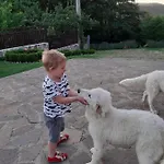Podere I Casaloni - La Casa Nel Bosco * Torniella