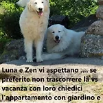 Podere I Casaloni - La Casa Nel Bosco Torniella