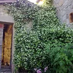Podere I Casaloni - La Casa Nel Bosco *