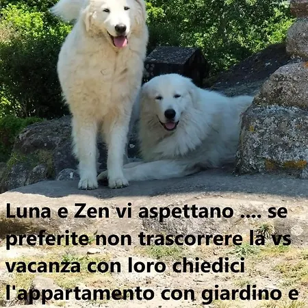 Podere I Casaloni - La Casa Nel Bosco Torniella