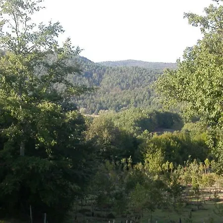 Podere I Casaloni - La Casa Nel Bosco * Torniella