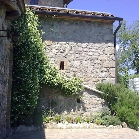 Podere I Casaloni - La Casa Nel Bosco *