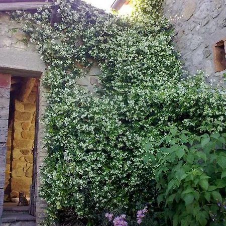 Podere I Casaloni - La Casa Nel Bosco *