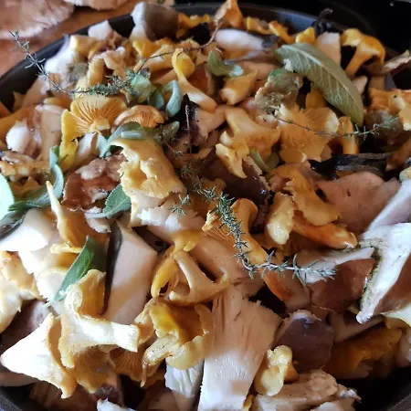 Podere I Casaloni - La Casa Nel Bosco 아파트 Torniella